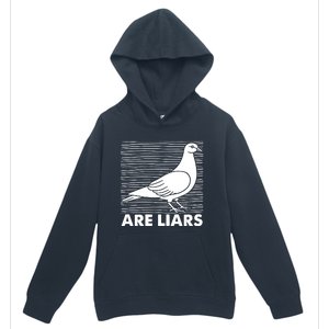 Pigeons Are Liars ArenT Real Spies Birds Pun Urban Pullover Hoodie