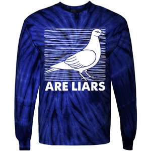 Pigeons Are Liars ArenT Real Spies Birds Pun Tie-Dye Long Sleeve Shirt