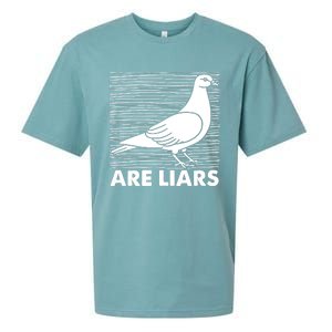 Pigeons Are Liars ArenT Real Spies Birds Pun Sueded Cloud Jersey T-Shirt