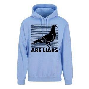 Pigeons Are Liars ArenT Real Spies Birds Pun Unisex Surf Hoodie