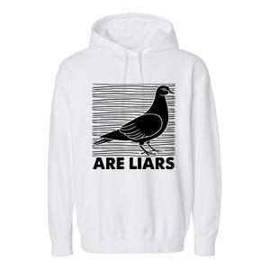 Pigeons Are Liars ArenT Real Spies Birds Pun Garment-Dyed Fleece Hoodie