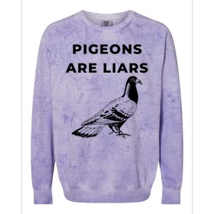 Pigeons Are Liars Colorblast Crewneck Sweatshirt