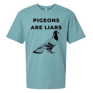 Pigeons Are Liars Sueded Cloud Jersey T-Shirt