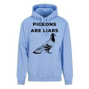 Pigeons Are Liars Unisex Surf Hoodie