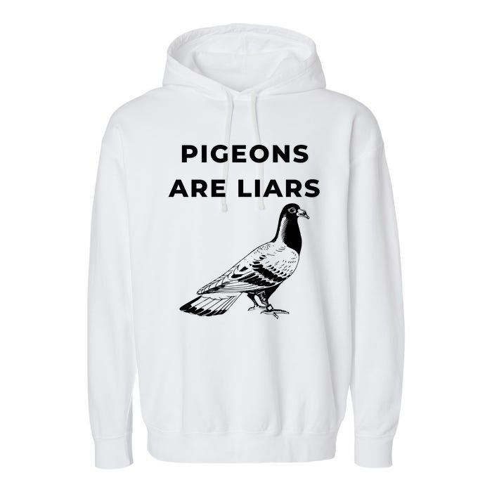 Pigeons Are Liars Garment-Dyed Fleece Hoodie