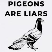 Pigeons Are Liars Apron