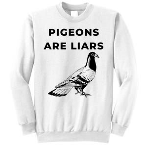 Pigeons Are Liars Sweatshirt