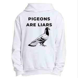 Pigeons Are Liars Urban Pullover Hoodie