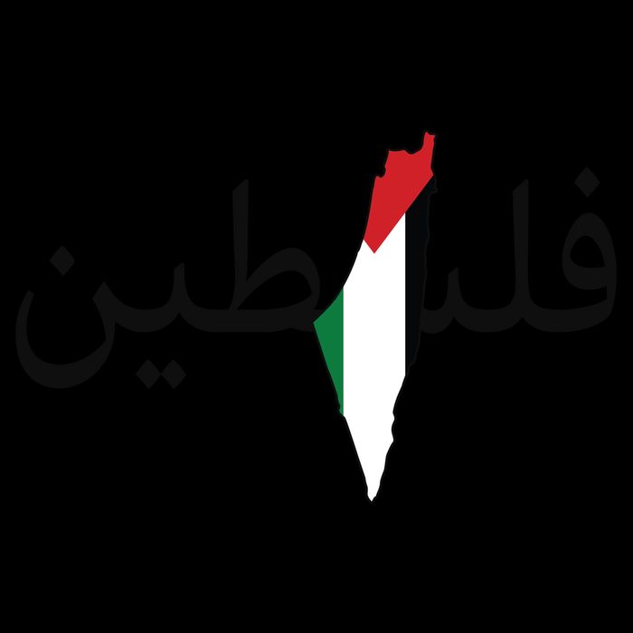 Palestine Arabic Map Flag Colors Mug