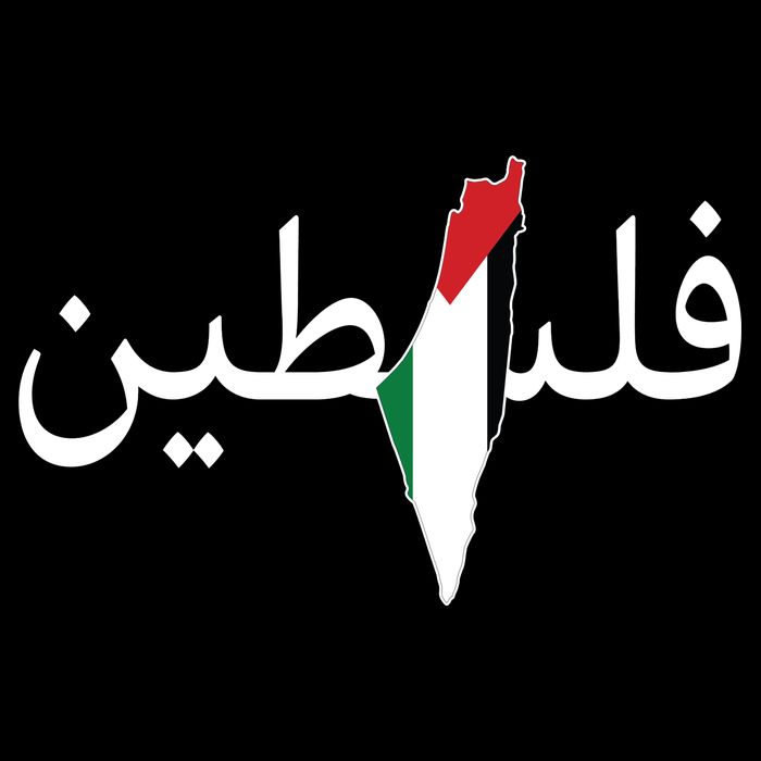 Palestine Arabic Map Flag Colors Visor