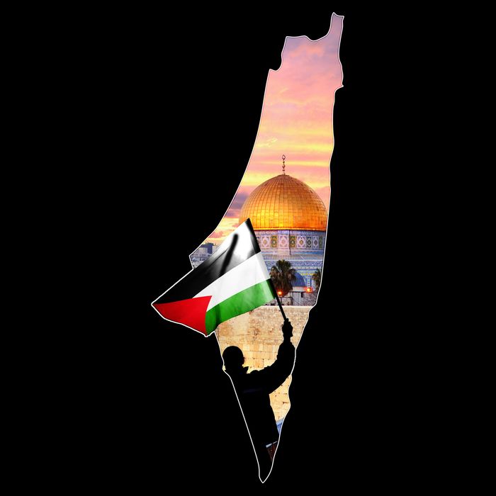 Palestine Map Flag Jerusalem's City Support Gaza Cooling Performance Crew T-Shirt