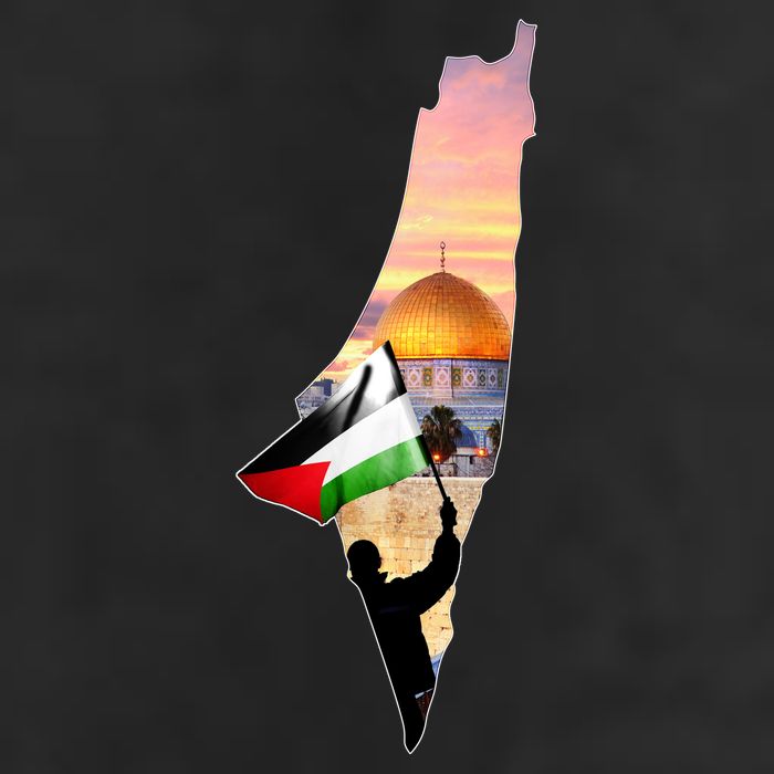 Palestine Map Flag Jerusalem's City Support Gaza Golf Towel
