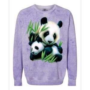 Panda and Cub Colorblast Crewneck Sweatshirt