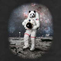 Panda In Space Astronaut Hat