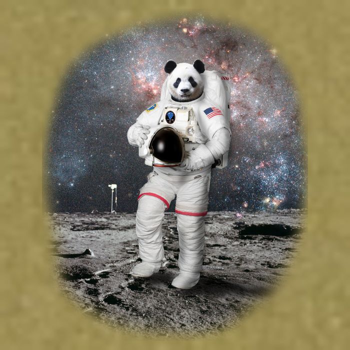Panda In Space Astronaut Garment-Dyed Women's Muscle Tee