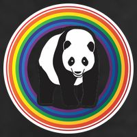 Panda Rainbow Adult Drive Performance Visor