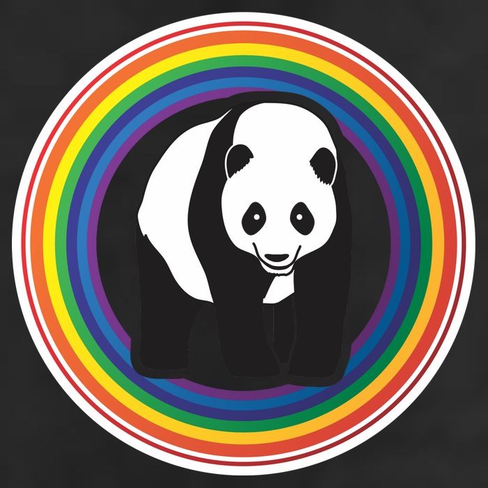 Panda Rainbow Adult Drive Performance Visor
