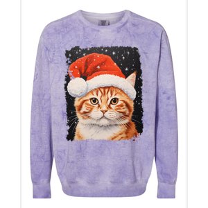 Pop Art Orange Ginger Cat Christmas Gift Colorblast Crewneck Sweatshirt