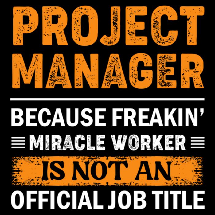 Project Ager Office Worker Project Leader Cool Gift Cooling Performance Crew T-Shirt