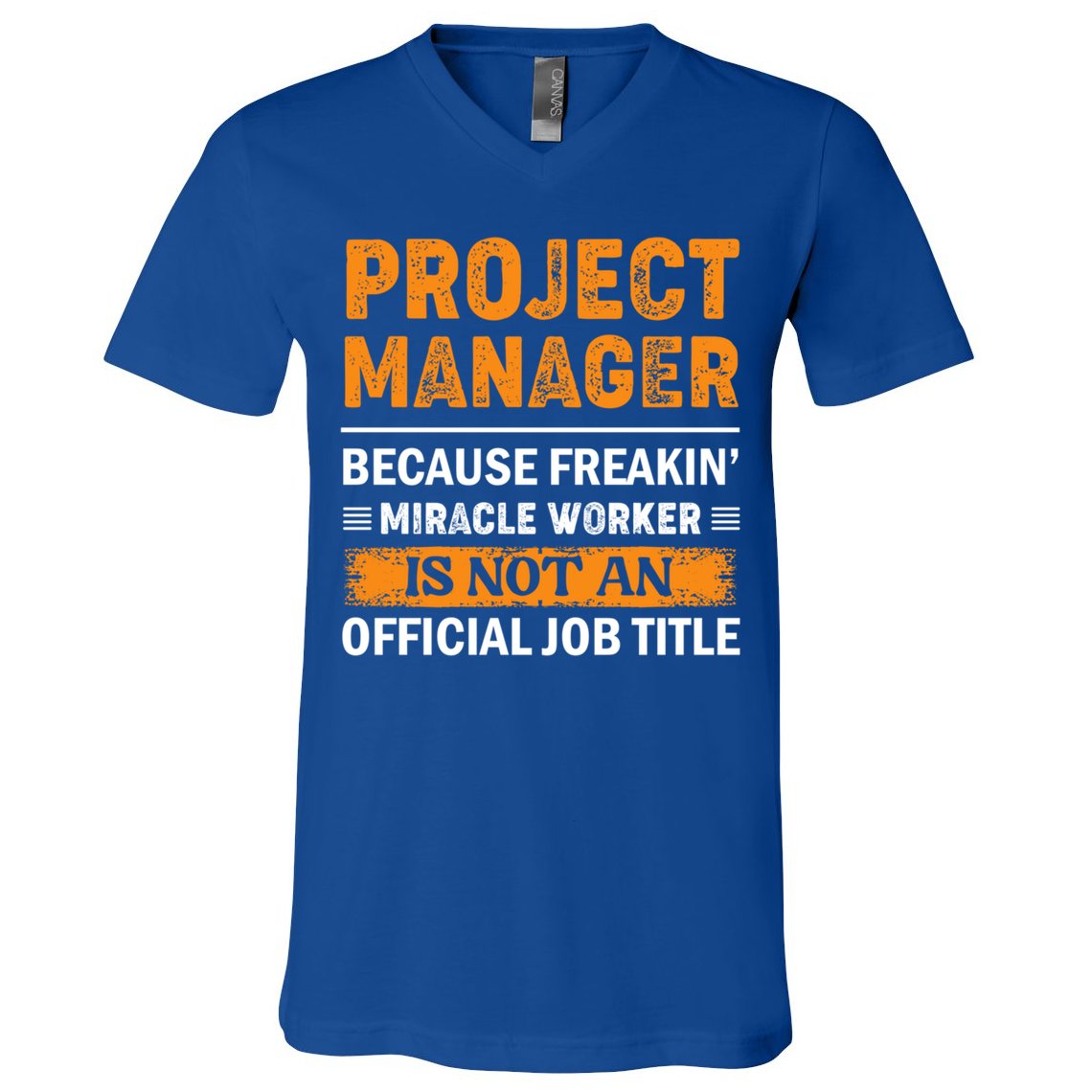 Project Ager Office Worker Project Leader Cool Gift V-Neck T-Shirt