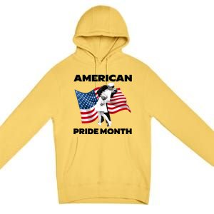 Patriotic American Pride Month Classic Wwii Soldier Kissing Nurse Premium Pullover Hoodie