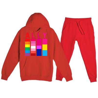 Proud Ally Pride Rainbow LGBT Ally Premium Hooded Sweatsuit Set