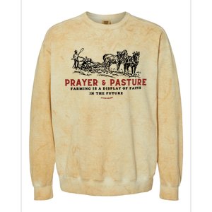 Prayer And Pasture Farmers Wife Gifts Colorblast Crewneck Sweatshirt