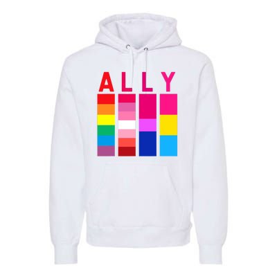 Proud Ally Pride Rainbow LGBT Ally Premium Hoodie