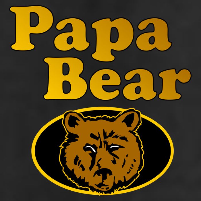 Papa Bear Fathers Dad 7 Panel Mesh Trucker Snapback Hat