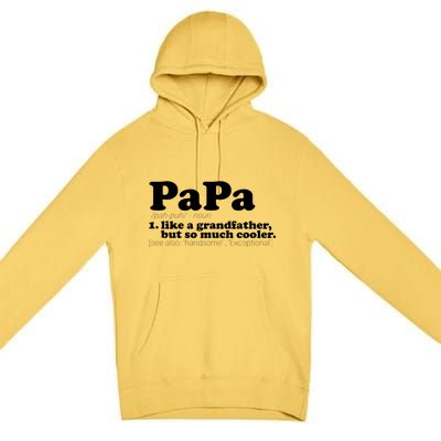 Papa Definition Premium Pullover Hoodie