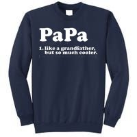 Papa Definition Sweatshirt