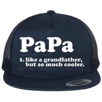 Papa Definition Flat Bill Trucker Hat