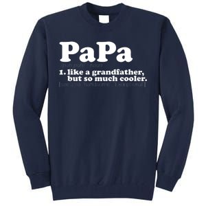 Papa Definition Tall Sweatshirt