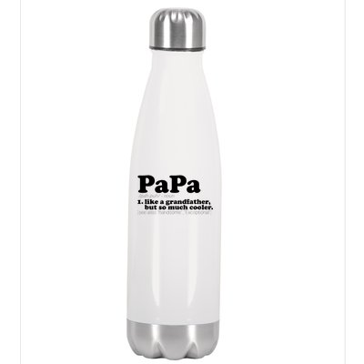 Papa Definition Stainless Steel Insulated Water Bottle