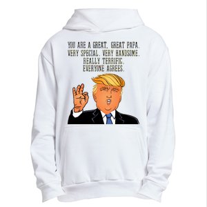 Papa Donald Trump Urban Pullover Hoodie