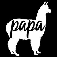 Papa Lama Kids Sweatshirt