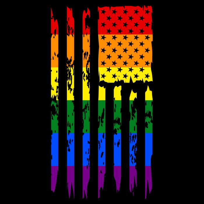 Pride American Rainbow Flag 16 in Basic Backpack