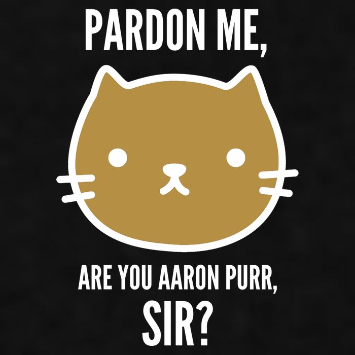 Pardon Me Are You Aaron Purr, Sir? Ladies PosiCharge Tri-Blend Wicking Tank