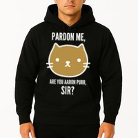 Pardon Me Are You Aaron Purr, Sir? Hoodie
