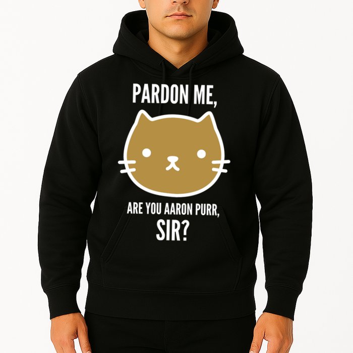 Pardon Me Are You Aaron Purr, Sir? Hoodie