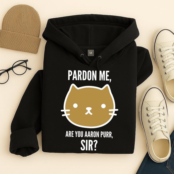 Pardon Me Are You Aaron Purr, Sir? Hoodie