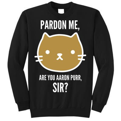 Pardon Me Are You Aaron Purr, Sir? Sweatshirt