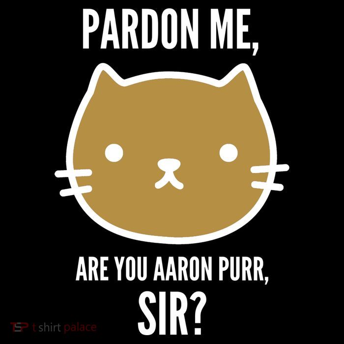 Pardon Me Are You Aaron Purr, Sir? T-Shirt