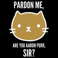 Pardon Me Are You Aaron Purr, Sir? 7-Panel Snapback Hat