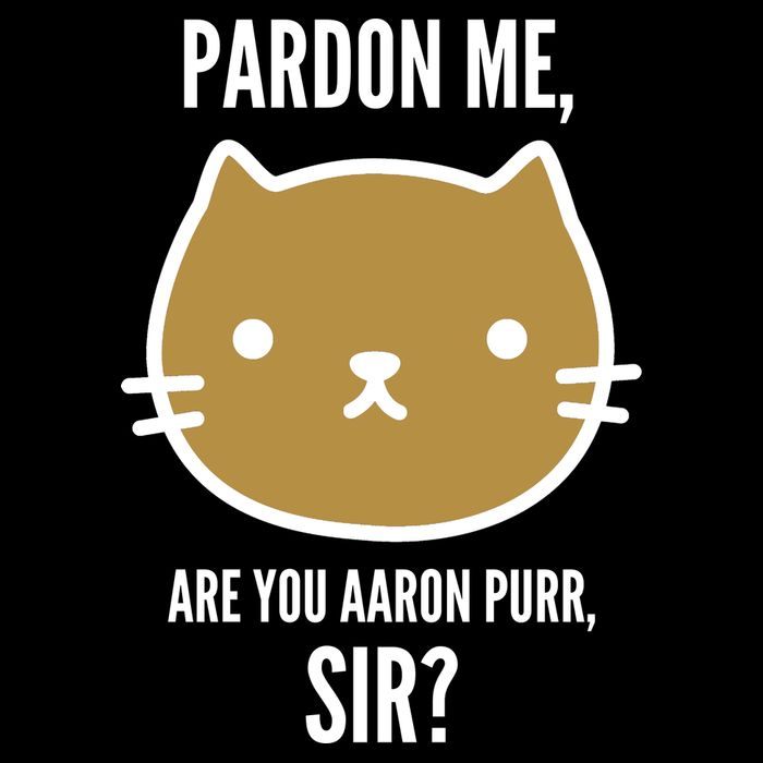 Pardon Me Are You Aaron Purr, Sir? 7-Panel Snapback Hat