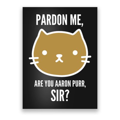 Pardon Me Are You Aaron Purr, Sir? Poster