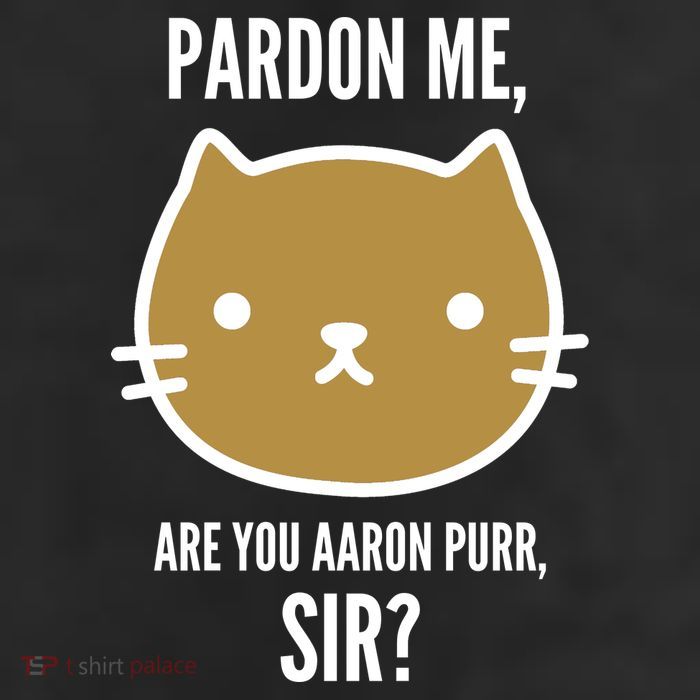 Pardon Me Are You Aaron Purr, Sir? 25L Jumbo Tote