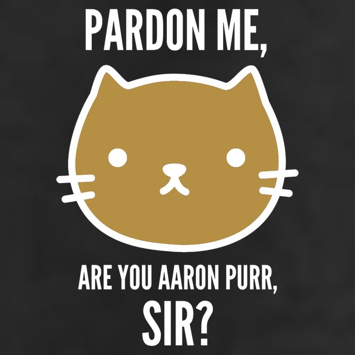 Pardon Me Are You Aaron Purr, Sir? Trucker Hat