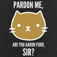 Pardon Me Are You Aaron Purr, Sir? Microfiber Hand Towel