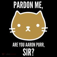 Pardon Me Are You Aaron Purr, Sir? Cropped Pullover Crew